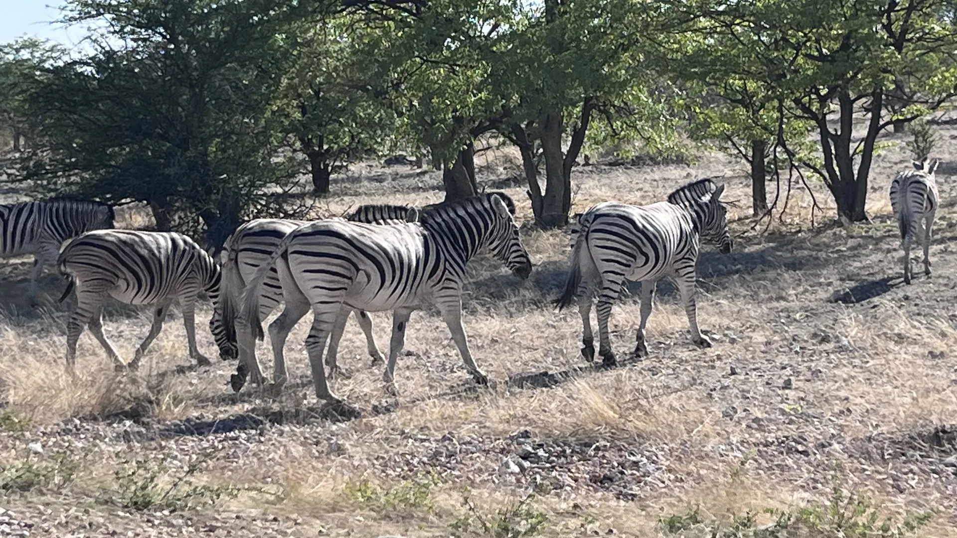 Multi-Day Tours
